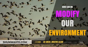 Transform Your Surroundings: Practical Ways to Modify Your Environment Effectively
