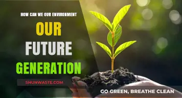Sustainable Choices Today: Securing a Greener Tomorrow for Future Generations