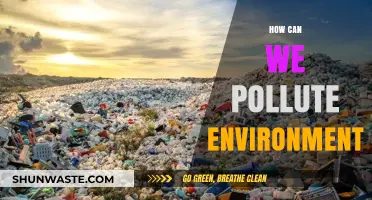 Unveiling the Hidden Dangers: Human Activities That Pollute Our Environment