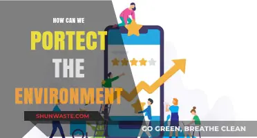 Sustainable Steps: Practical Ways to Protect Our Environment Daily