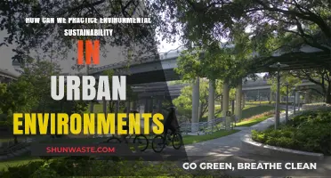 Urban Eco-Living: Practical Steps for Sustainable City Environments