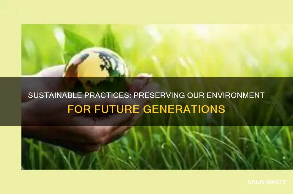 how can we preserve our environment essay
