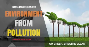 Sustainable Steps to Combat Pollution and Protect Our Environment