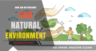 Sustainable Practices to Protect and Preserve Our Natural Environment