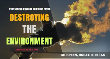 Preventing Acid Rain: Strategies to Protect Our Fragile Environment