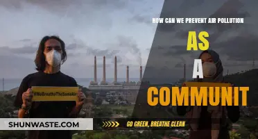 Breathing Clean: Community Action for a Healthier Air