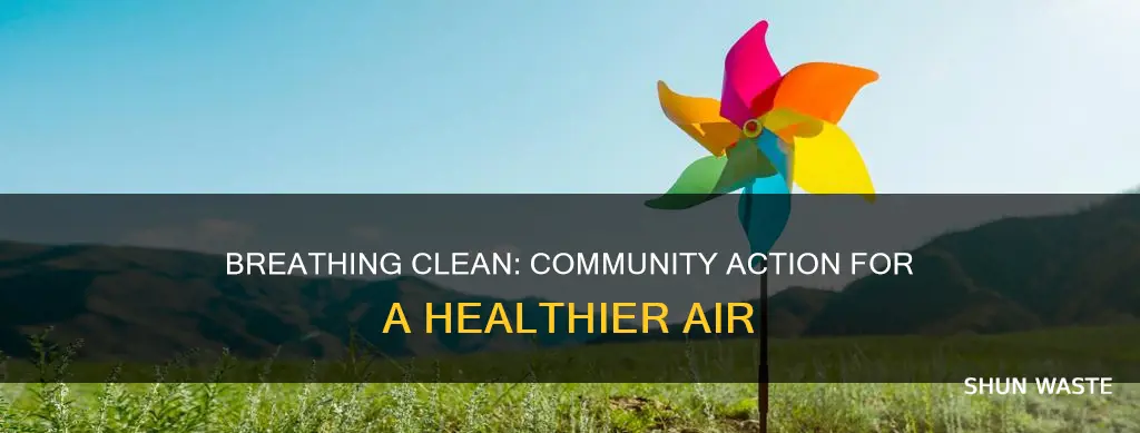 how can we prevent air pollution as a community