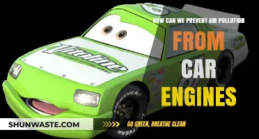 Green Driving: Strategies to Reduce Car Engine Pollution