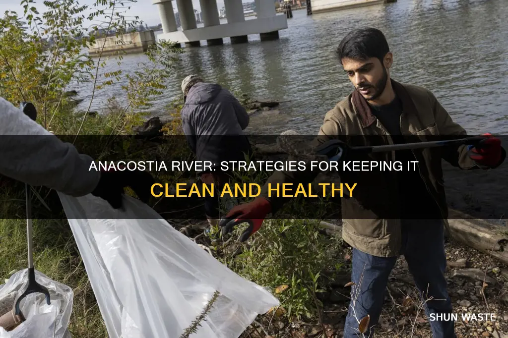 how can we prevent anacostia river from being polluted