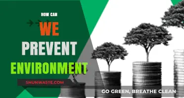Sustainable Practices to Protect and Preserve Our Environment Effectively