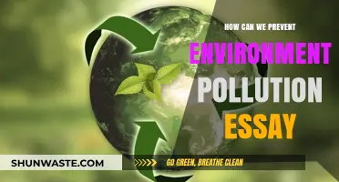 Strategies for a Greener Future: Preventing Environmental Pollution