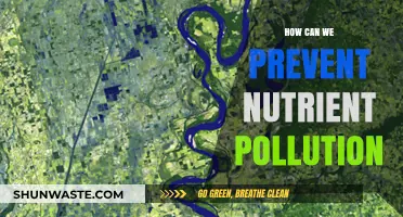 Strategies to Safeguard Our Waters: Preventing Nutrient Pollution