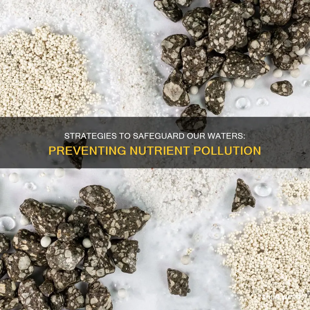 how can we prevent nutrient pollution