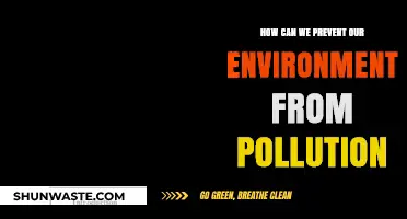 Sustainable Practices to Combat Pollution and Protect Our Environment