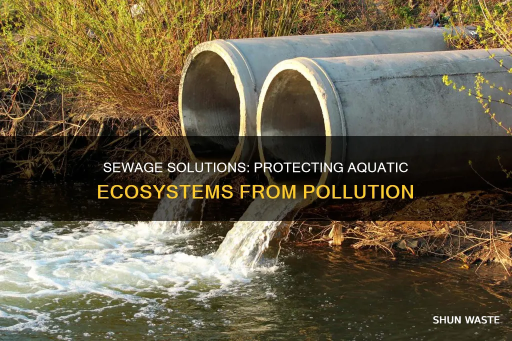 how can we prevent sewage pollution from impacting aquatic systems