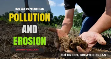 Protecting Our Earth: Strategies to Prevent Soil Pollution and Erosion