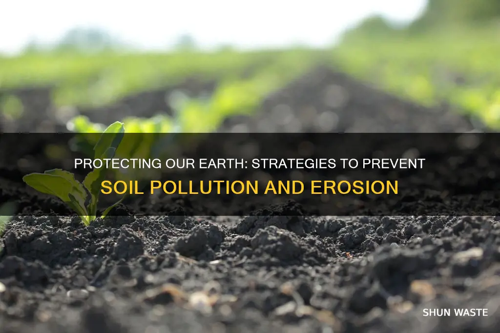 how can we prevent soil pollution and erosion