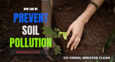 Soil Pollution: Preventing the Degradation of Earth's Skin