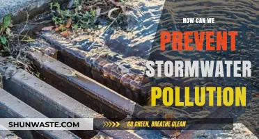 Protecting Our Waters: Effective Strategies to Prevent Stormwater Pollution