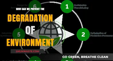 Sustainable Practices to Halt Environmental Degradation and Protect Our Planet