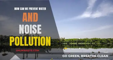 Sustainable Solutions: Preventing Water and Noise Pollution for a Healthier Planet