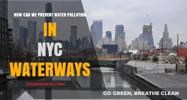 Clean Water NYC: Strategies to Prevent Pollution in Our Rivers and Canals