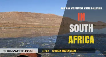 Sustainable Solutions: Protecting South Africa's Waterways from Pollution