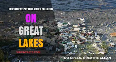 Protecting the Great Lakes: Effective Strategies to Prevent Water Pollution