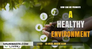 Sustainable Practices for a Greener, Healthier Environment: Tips and Strategies