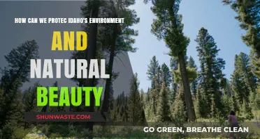 Preserving Idaho's Pristine Landscapes: Strategies for Environmental Conservation