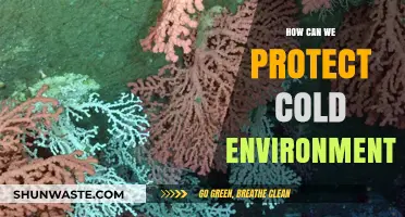 Preserving Fragile Ecosystems: Strategies to Safeguard Cold Environments Effectively