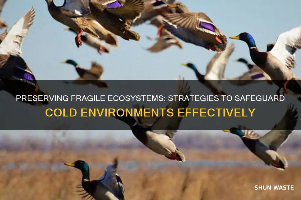 how can we protect cold environments