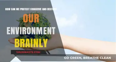 Sustainable Practices to Protect, Conserve, and Restore Our Environment