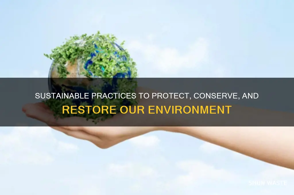 how can we protect conserve and restore our environment brainly