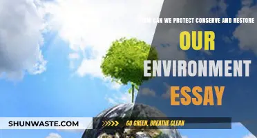 Sustainable Practices to Protect, Conserve, and Restore Our Environment