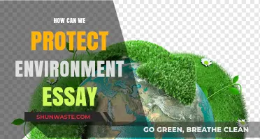 Sustainable Practices: Effective Ways to Protect Our Environment Today