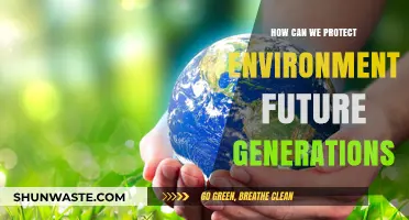 Sustainable Practices for a Greener Tomorrow: Protecting Our Environment for Future Generations