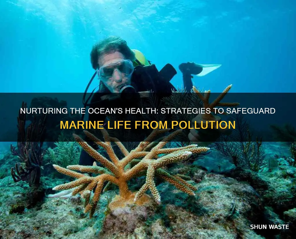 how can we protect marine life from pollution