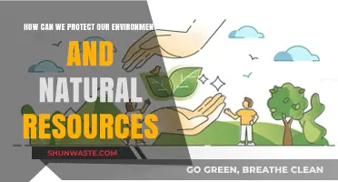 Sustainable Practices to Safeguard Our Environment and Preserve Natural Resources