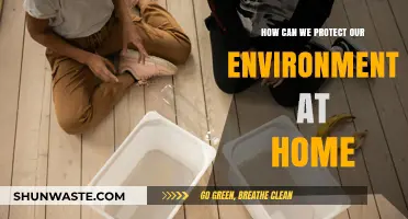 Sustainable Living: Simple Home Practices to Protect Our Environment