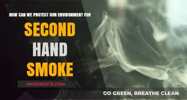 Breathing Clean: Strategies to Shield Our Environment from Secondhand Smoke