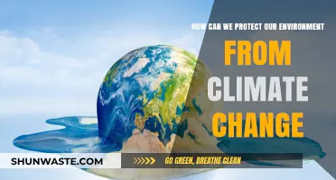 Sustainable Actions to Combat Climate Change and Protect Our Environment