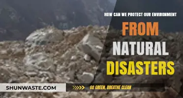 Sustainable Strategies to Safeguard Our Environment from Natural Disasters