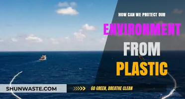 Sustainable Steps to Combat Plastic Pollution and Save Our Planet