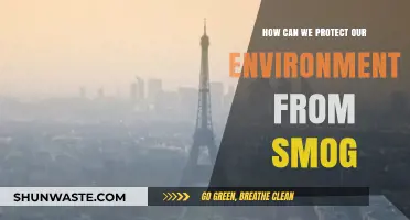 Combating Smog: Practical Steps to Safeguard Our Environment and Health