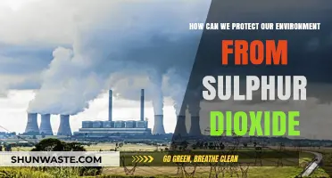 Combating Sulphur Dioxide: Effective Strategies to Safeguard Our Environment