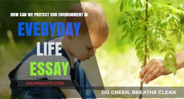 Simple Daily Habits to Protect Our Environment and Save Earth