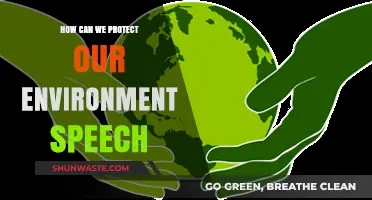Sustainable Steps: Empowering Actions to Safeguard Our Environment Effectively