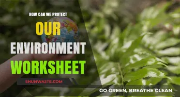 Protecting Our Planet: Practical Steps for Environmental Conservation Worksheet