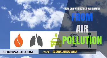 Breathing Clean: Strategies to Safeguard Your Health from Air Pollution